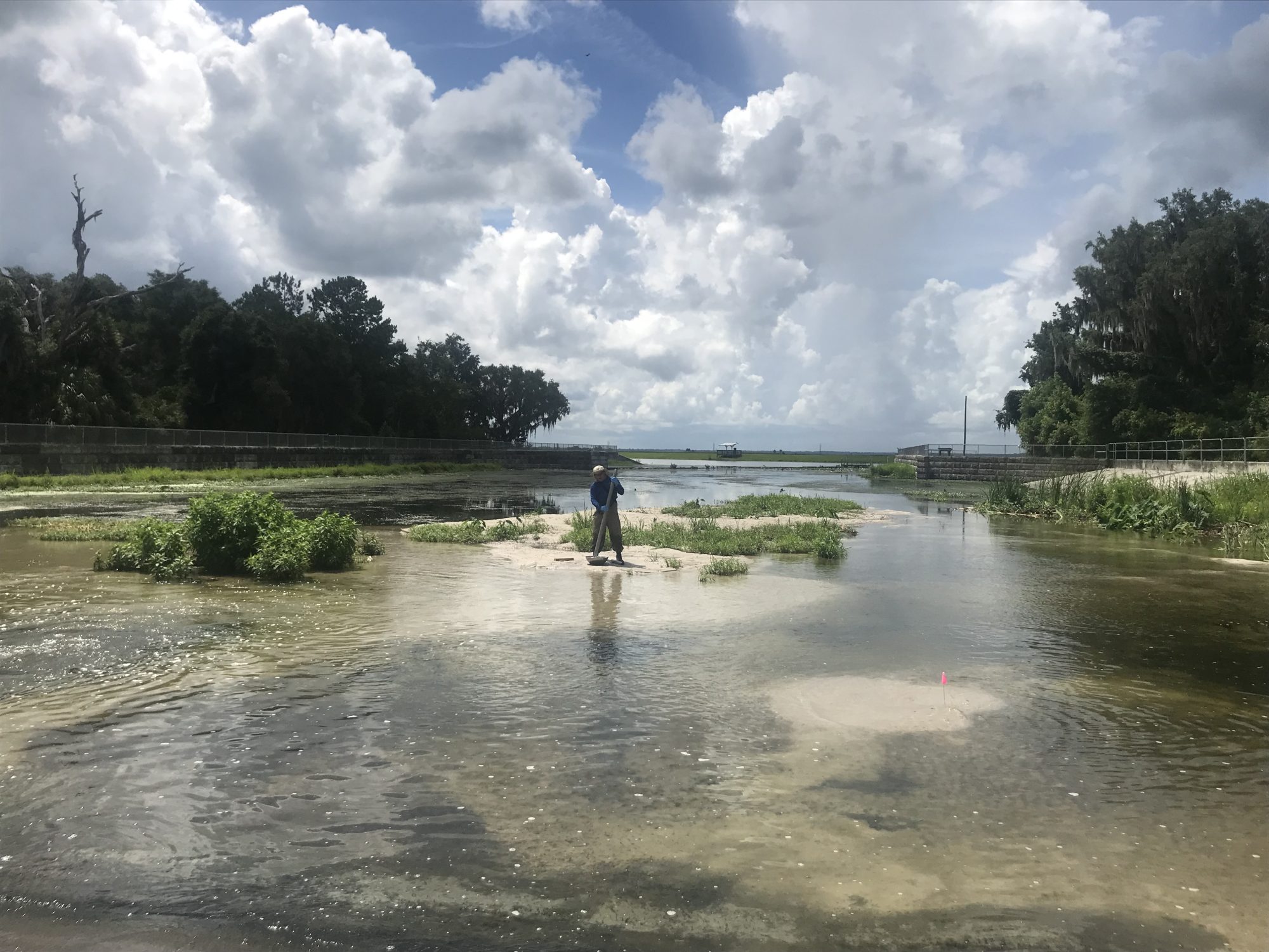 Photo of a scientist collecting a sediment sample in the tailwaters of a stormwater fed creek.